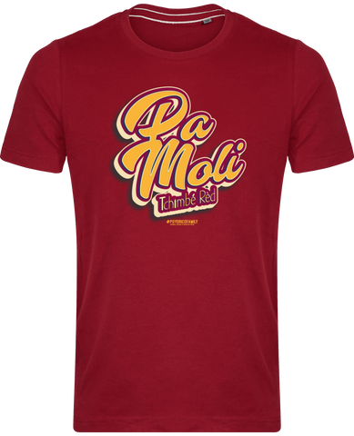 Tee Shirt Vintage Homme LESPRI KANAVAL "PA MOLI"